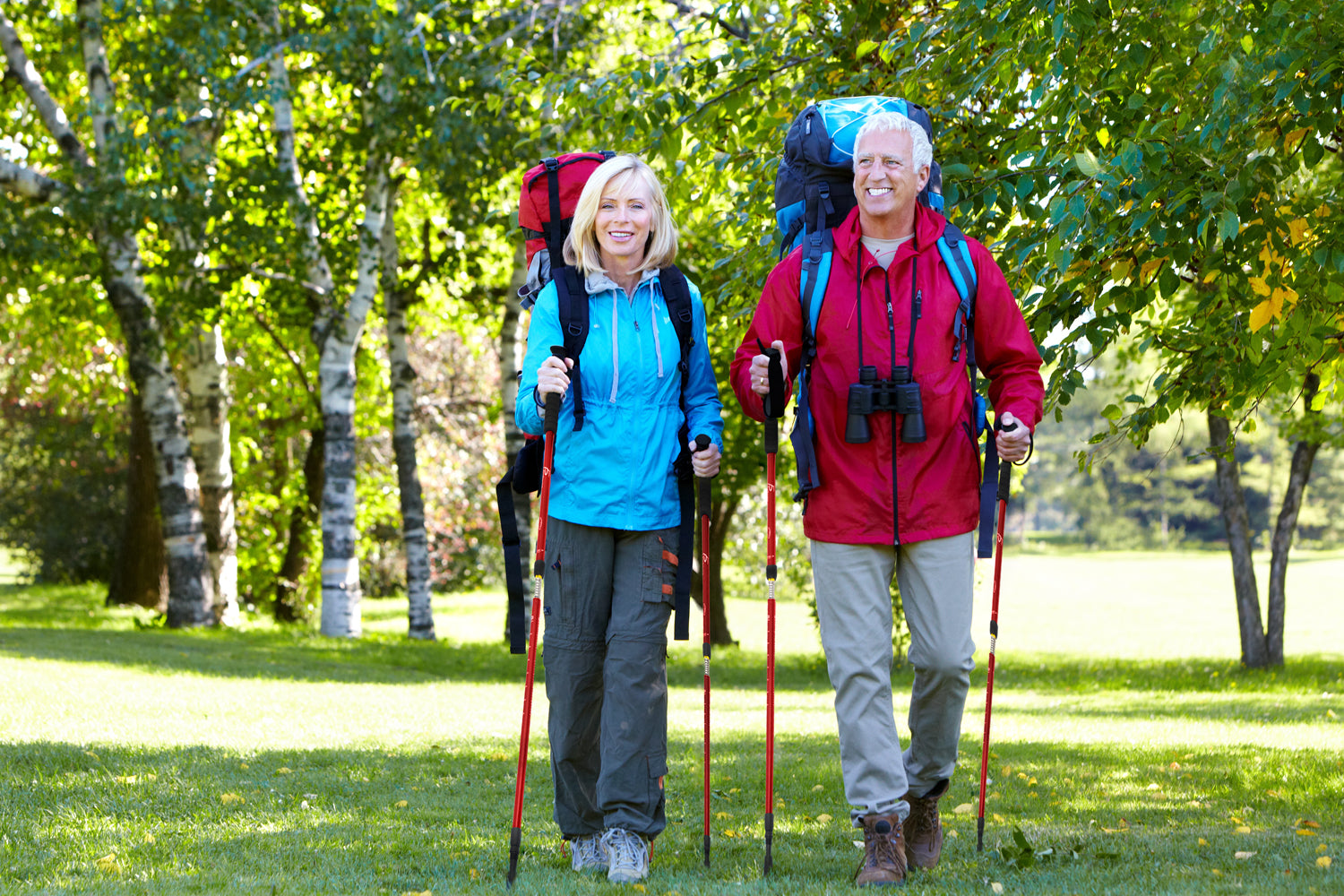 Should Walk with Trekking Poles