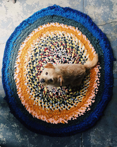 Rag Rug with small dog sitting in the middle