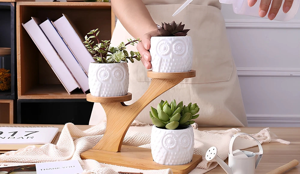 Three white ceramic owl planters on 45cm bamboo tree frame for succulents, corrosion-resistant modular display