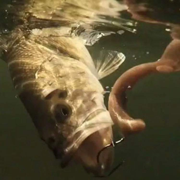 Bionic Fishing Silicone Bait Kit for Outdoor Angling