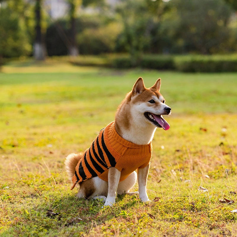 Halloween Dog Sweater with Orange and Black Designs for Small to XL Dogs