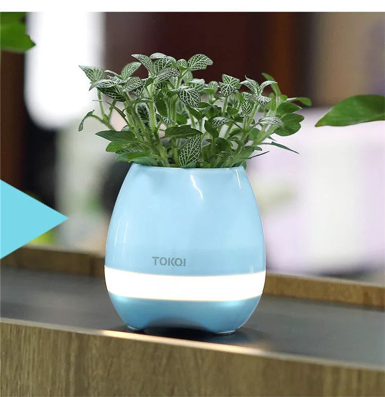 Touch-sensitive music vase desktop audio with 12-hour playtime