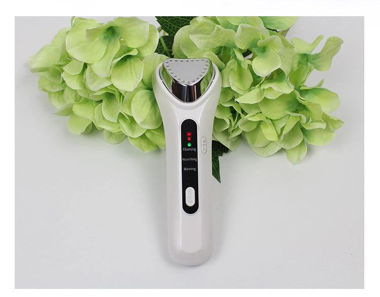 Electric Ultrasonic Facial Beauty Device with USB Power
