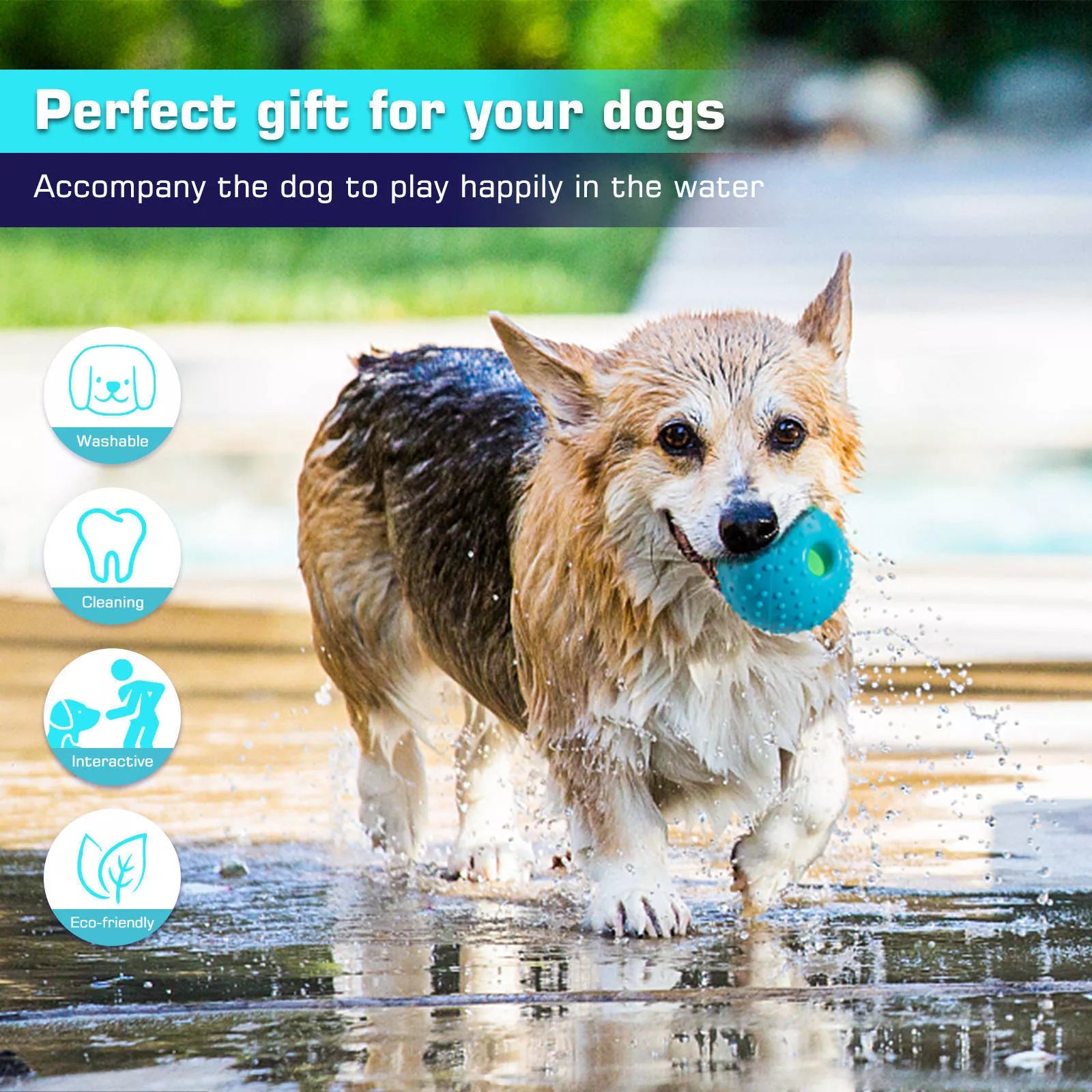 Pet Squall Ball Dog Playmate Sound Relieving Toys, Blue, 12.5cm