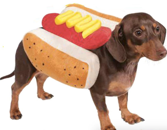 hot dog outfit for sausage dogs