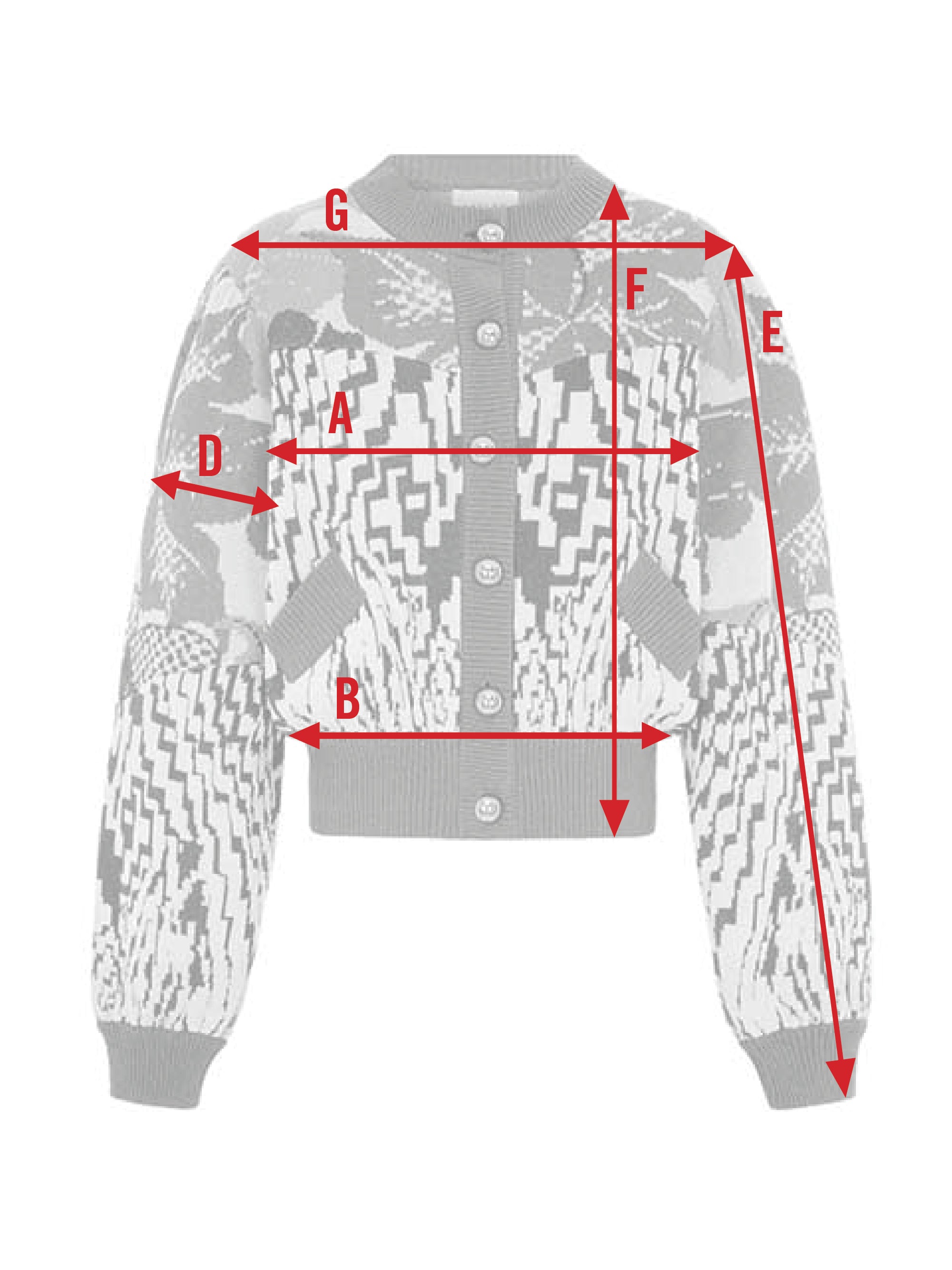 size chart guide image