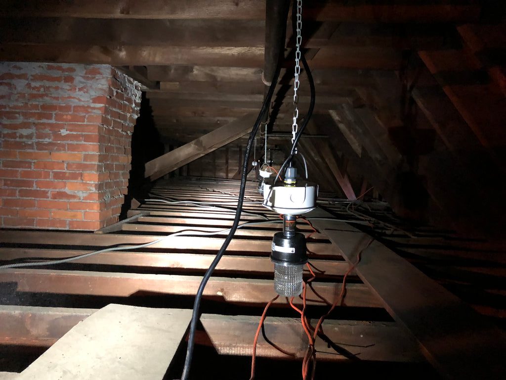 Evictor Strobe Light Installs in Attics & Crawlspaces to Evict Squirrels Permanently