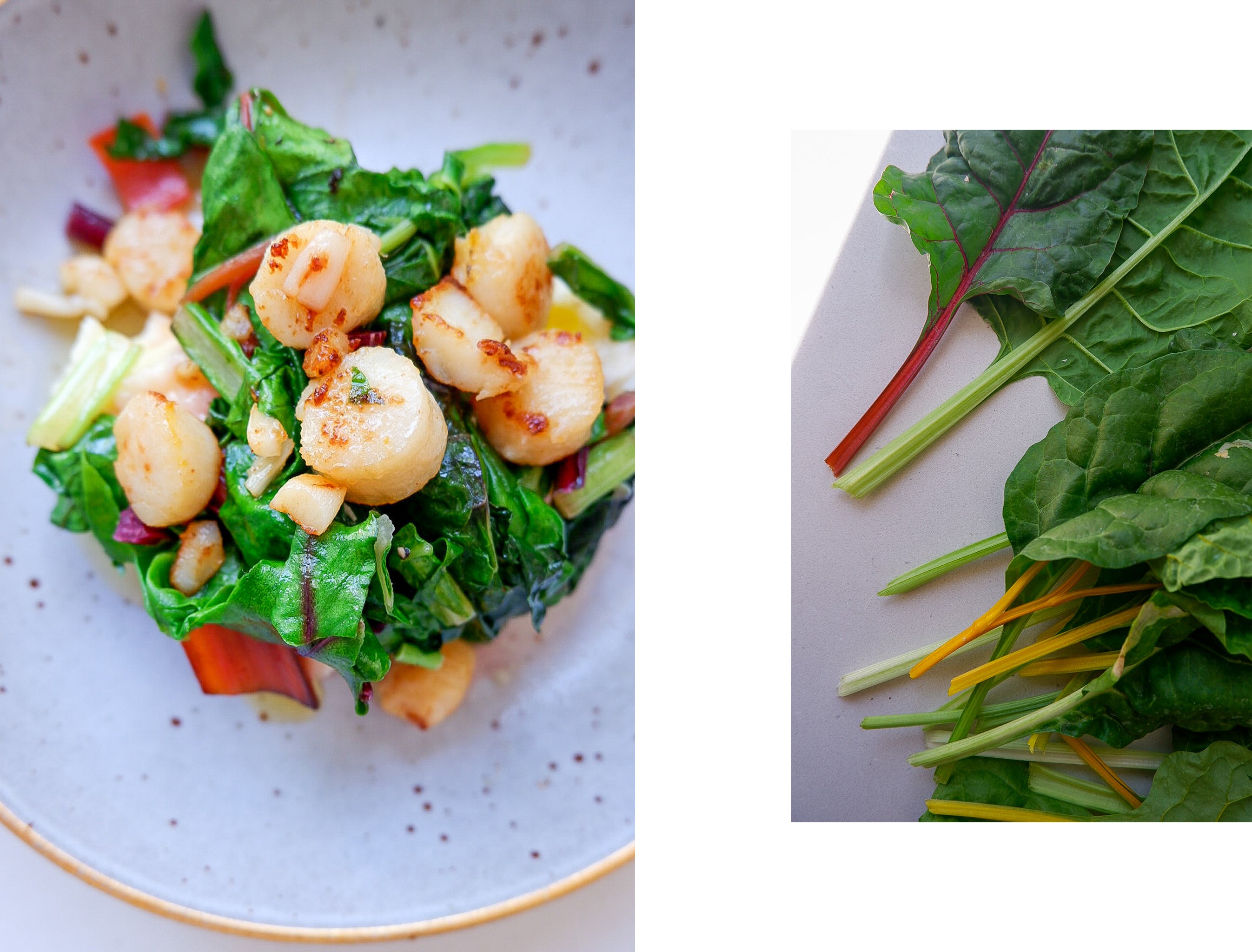 Sauteed scallops and swiss chard on a bed of celeriac mash