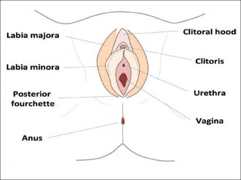 How To Treat Vaginal Tears