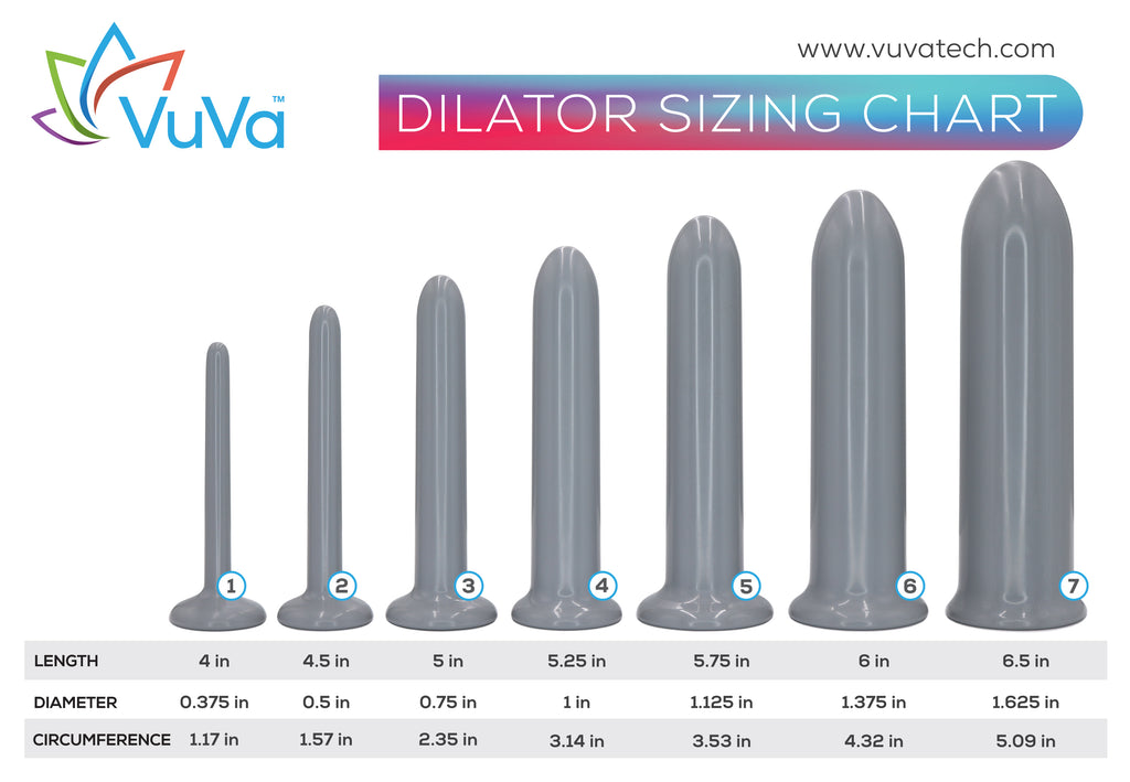 anal dilator size chart