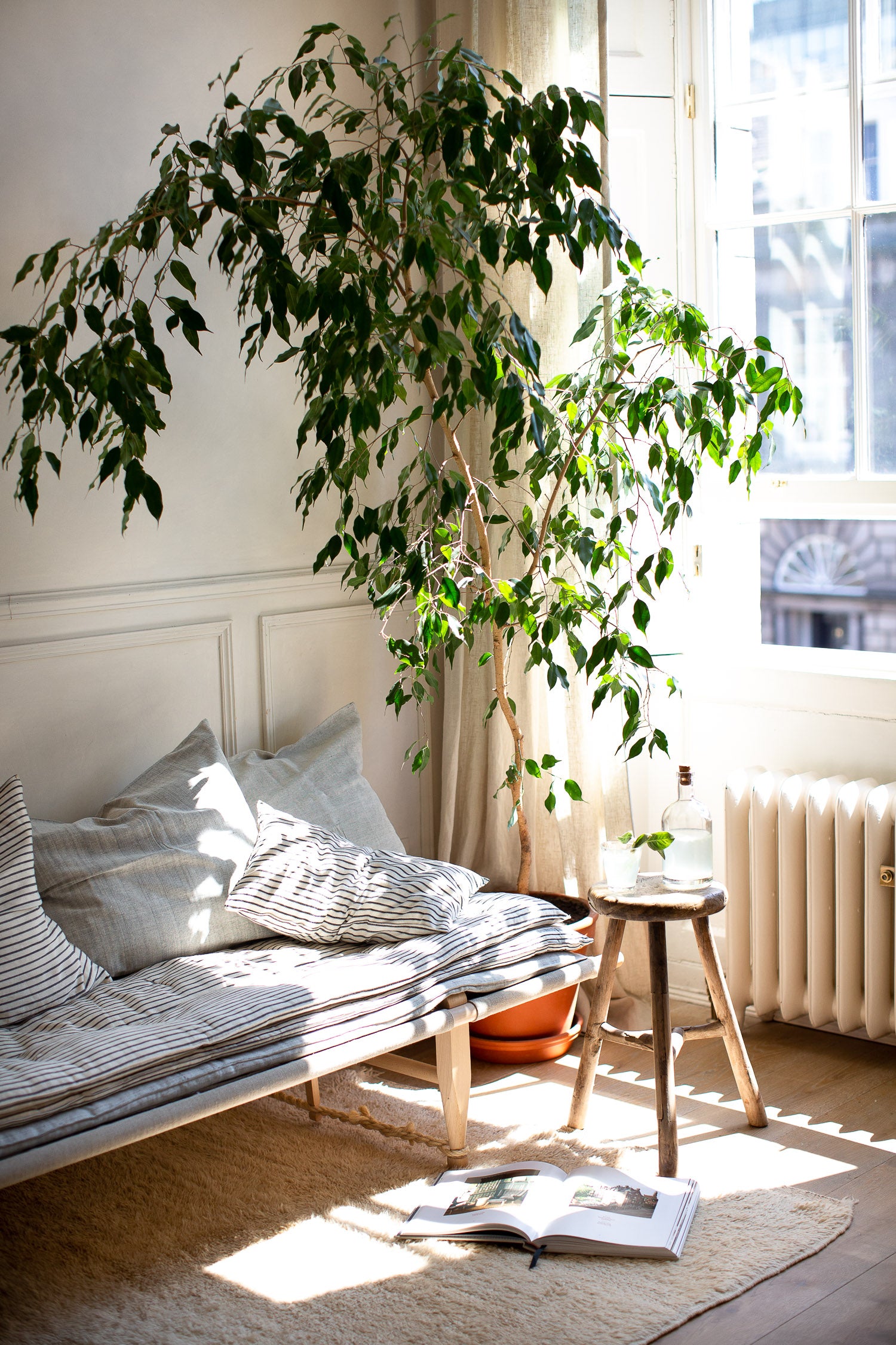 cosy daybed by a large window 
