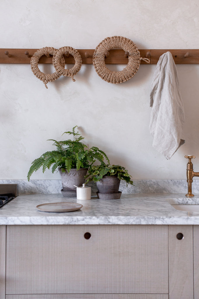 decorating your kitchen with ferns in plant pots 