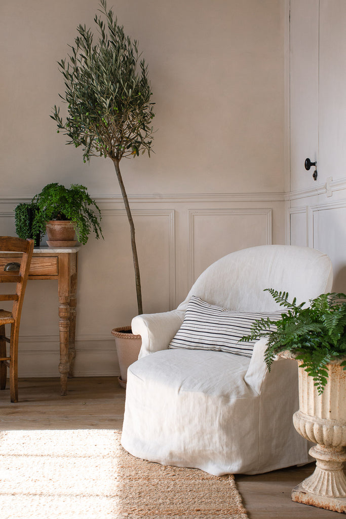 natural home decor with linen and an olive tree