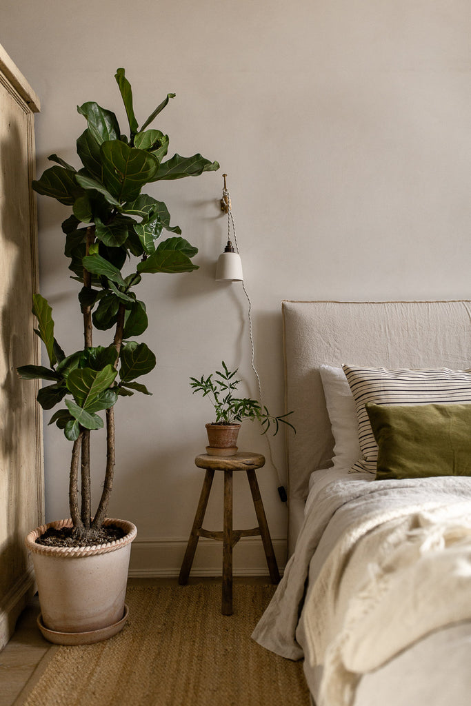 natural bedroom decor with plants 
