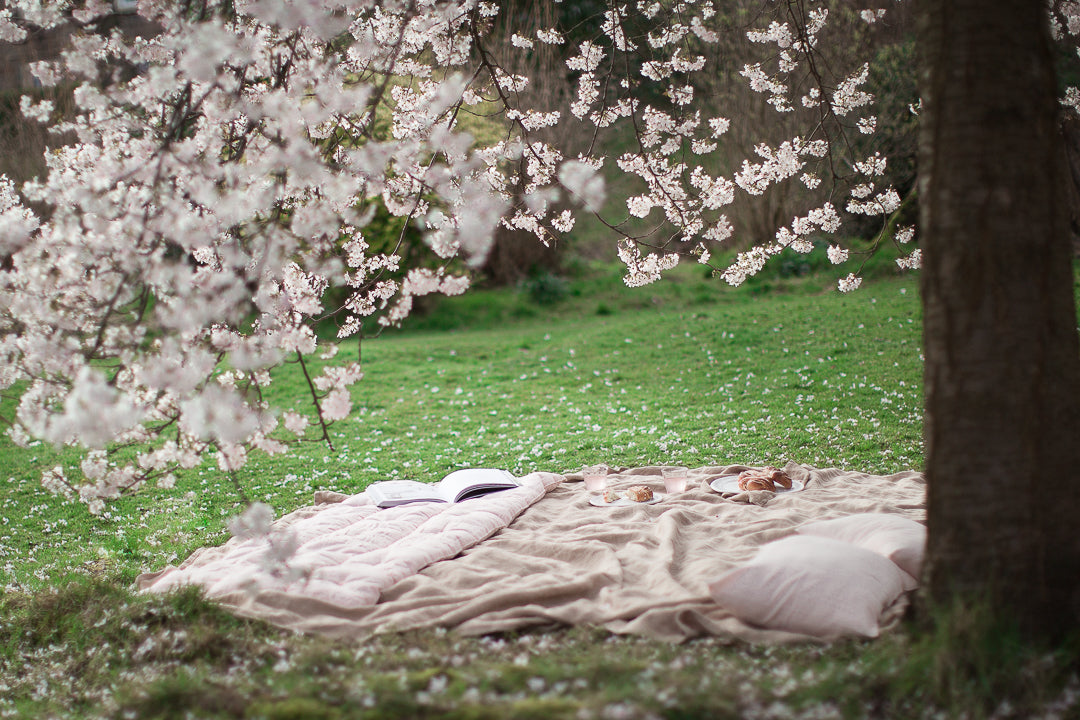 pink picnic under a cherry blossom tree 