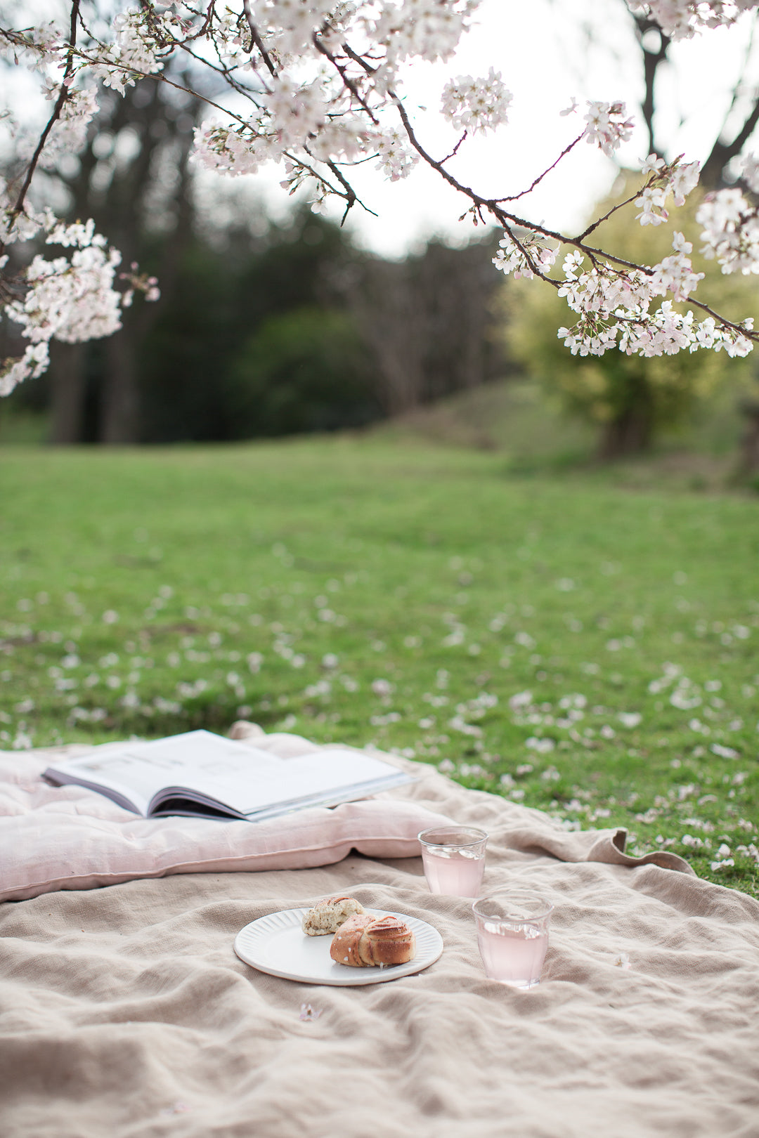 spring picnic with linen picnic blanket 