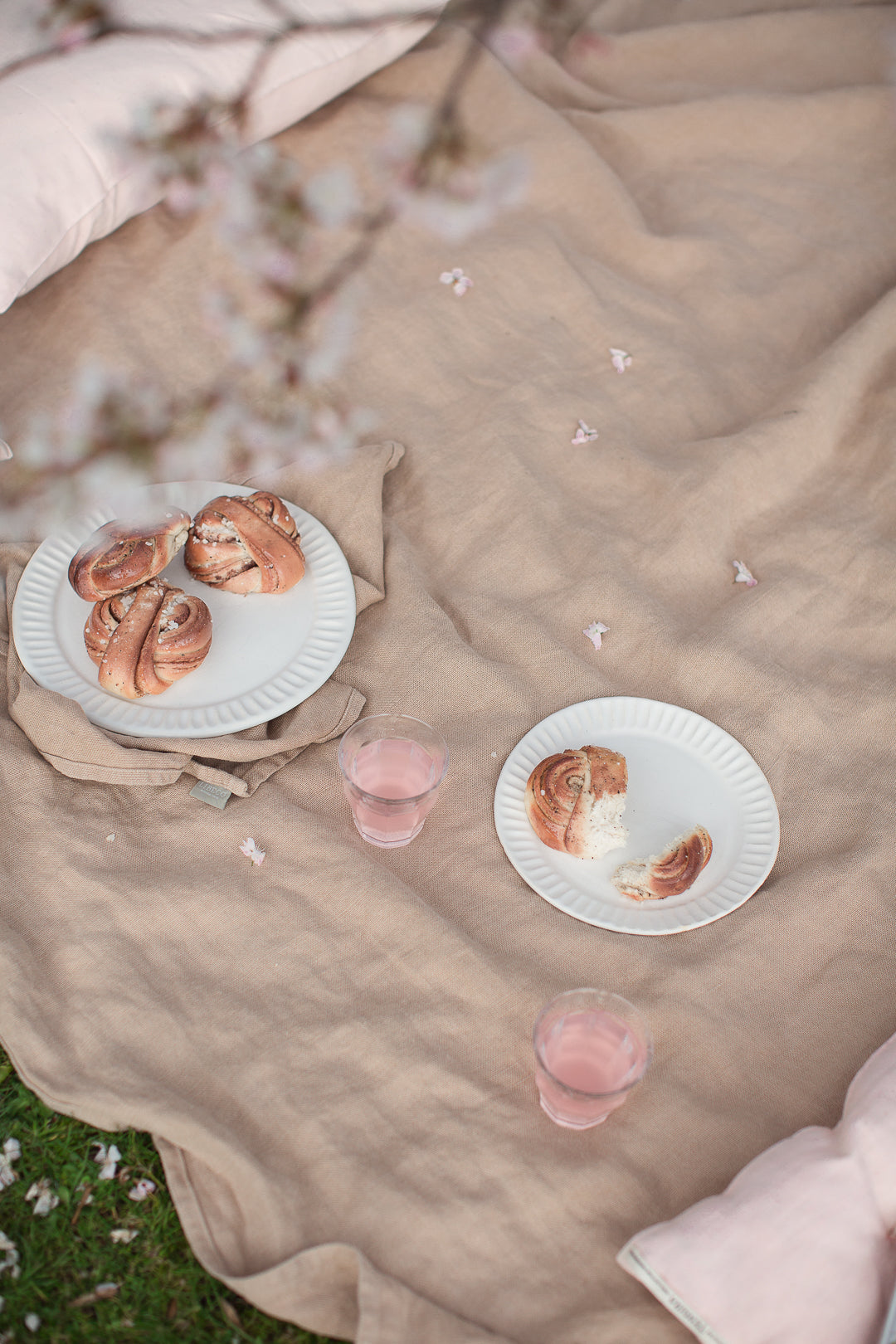 spring breakfast picnic with cherry blossoms 