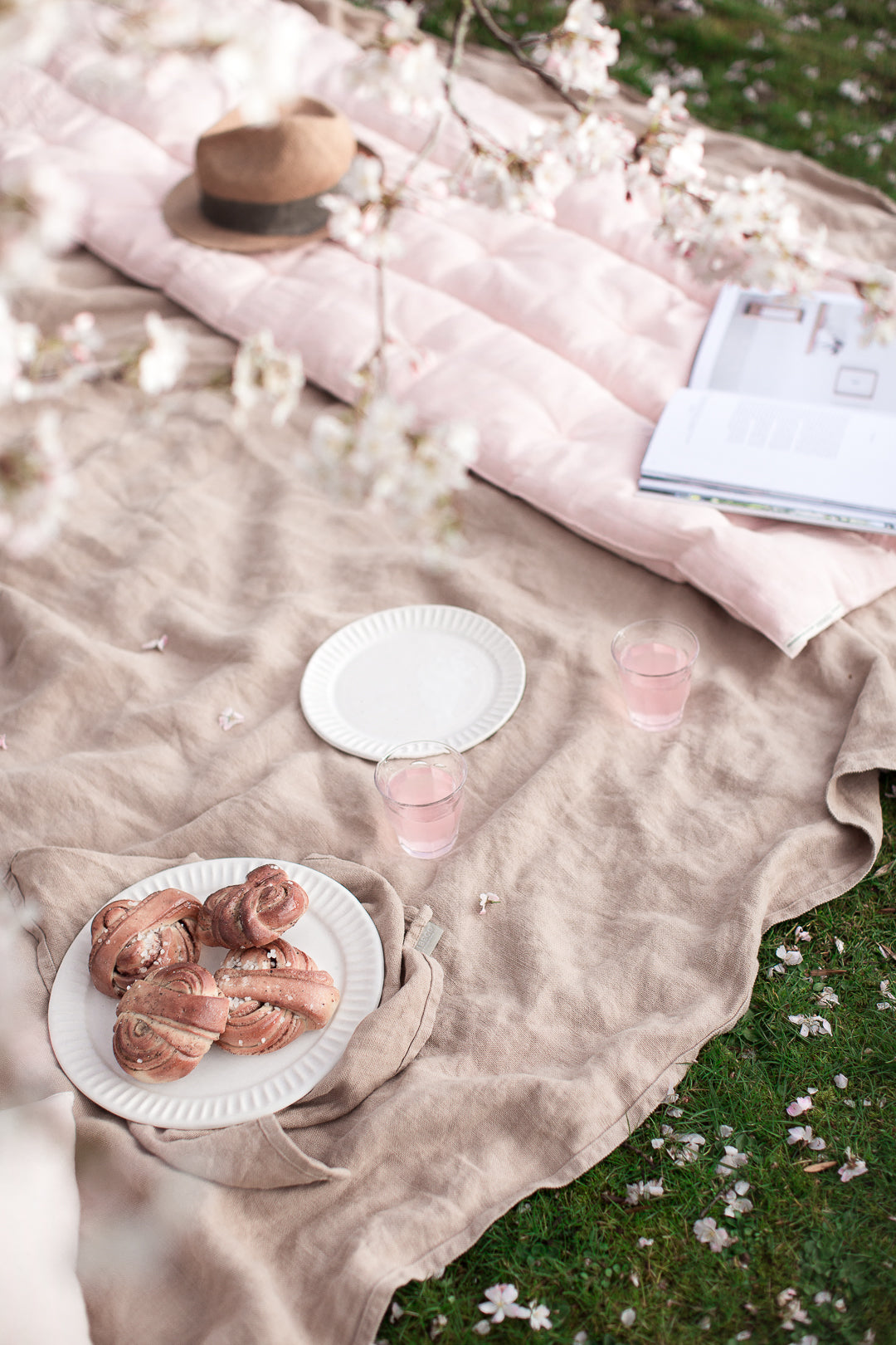 cherry blossom picknick 