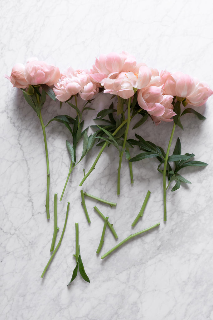 pink peonies on carrara marble