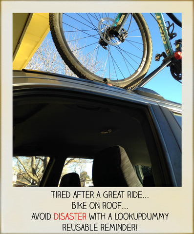 avoid expensive bike roof rack disaster