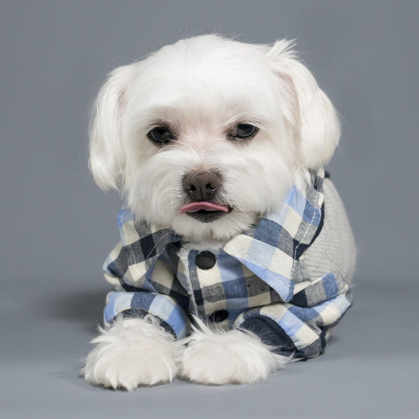 Chill Pups Preppy Dog Vest Grey and Blue Plaid with Bow Tie for Dogs by ...