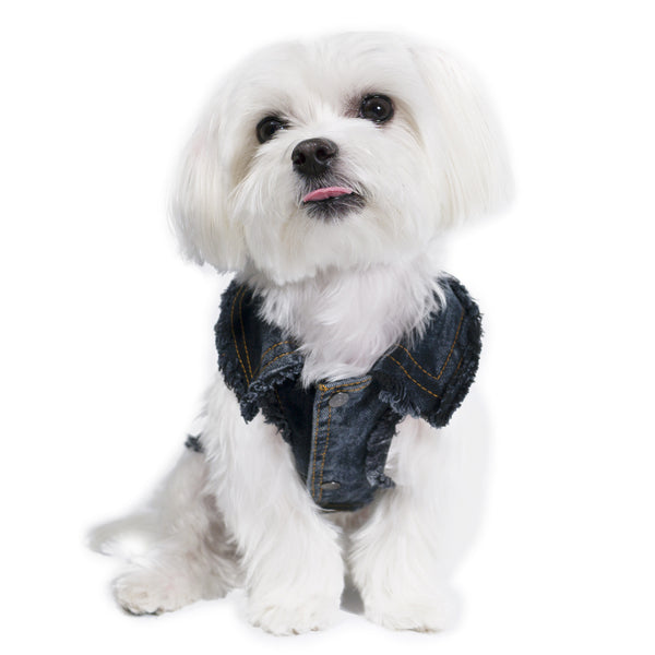 Chill Pups Classic Dark Jean Jacket for Dogs by United Pups | United Pups
