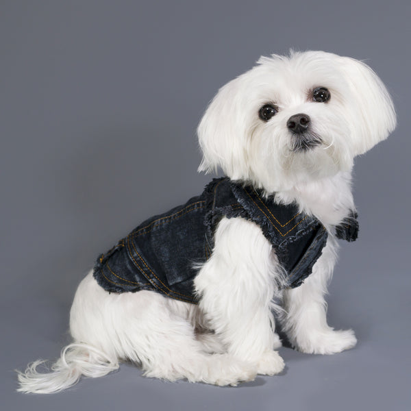 Chill Pups Classic Dark Jean Jacket for Dogs by United Pups | United Pups