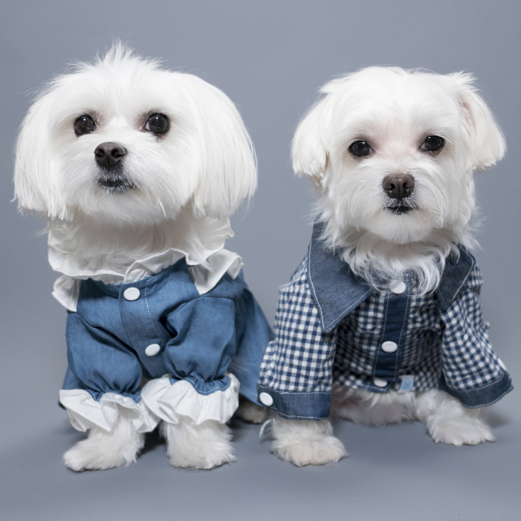 Chill Pups Flawless Lace Cutout Denim Dress for Dogs by United Pups ...