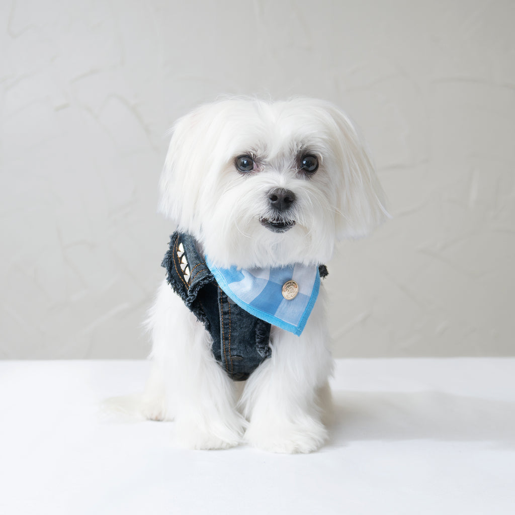 Chill Pups Blue Gingham Plaid Bandana for Dogs by United Pups | United Pups