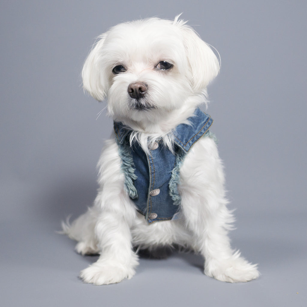 Chill Pups Classic Jean Vest for Dogs by United Pups | United Pups