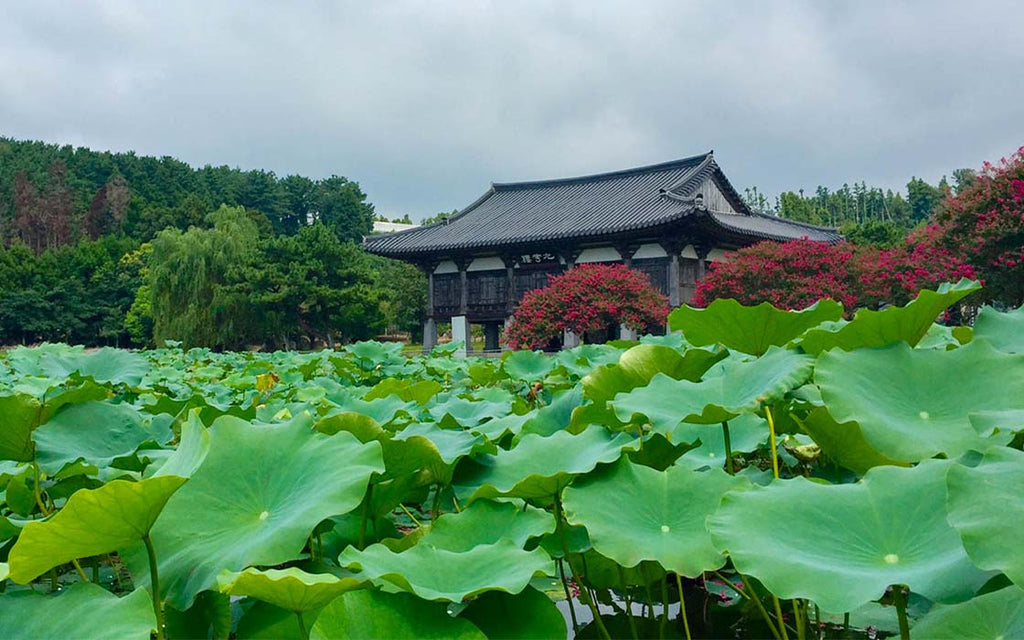  Beophwasa Temple in Jeju-do