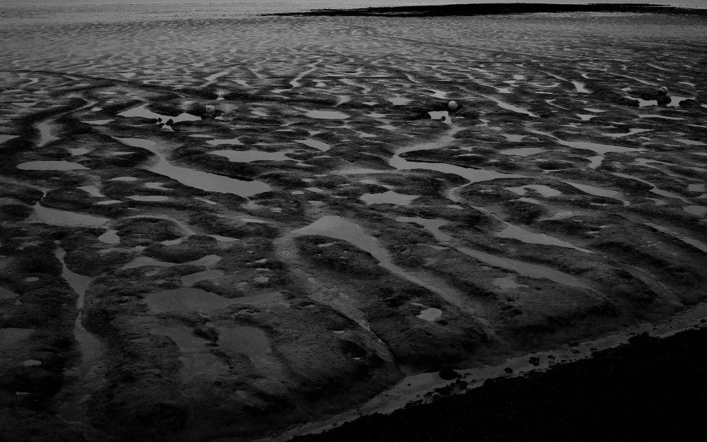 Boryeong Mud Flats