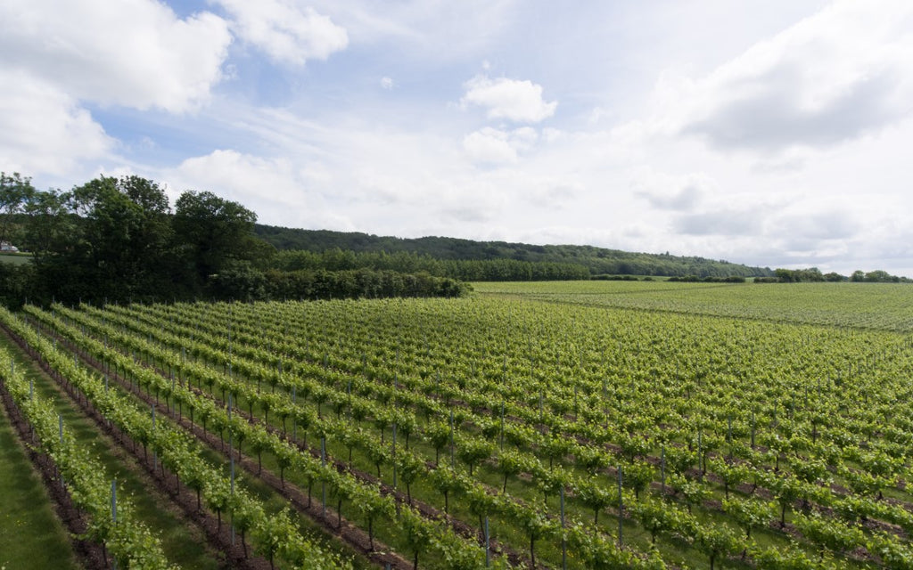 Westwell Wines in Kent, United Kingdom