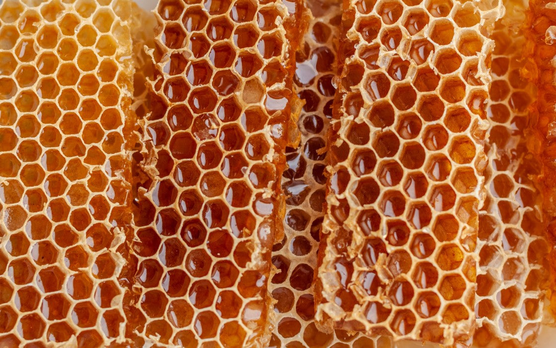 Image of a honeycomb where Beeswax used in cosmetic products are derived.