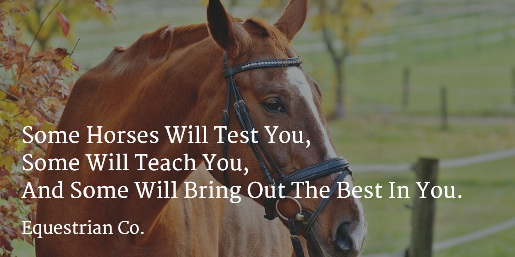 western horse riding quotes