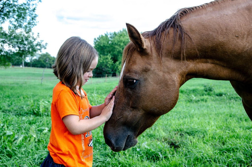 Child petting a horse