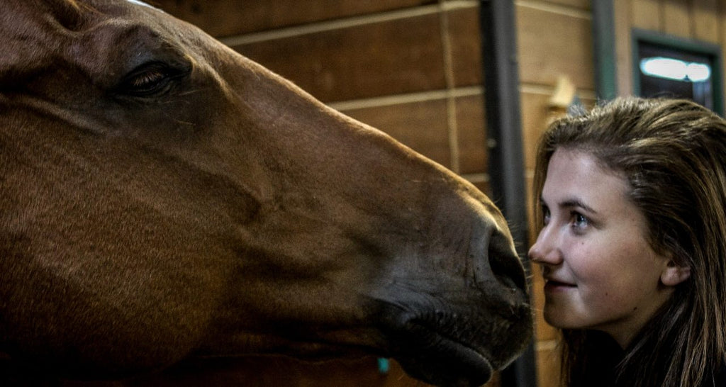 Horse grooming woman