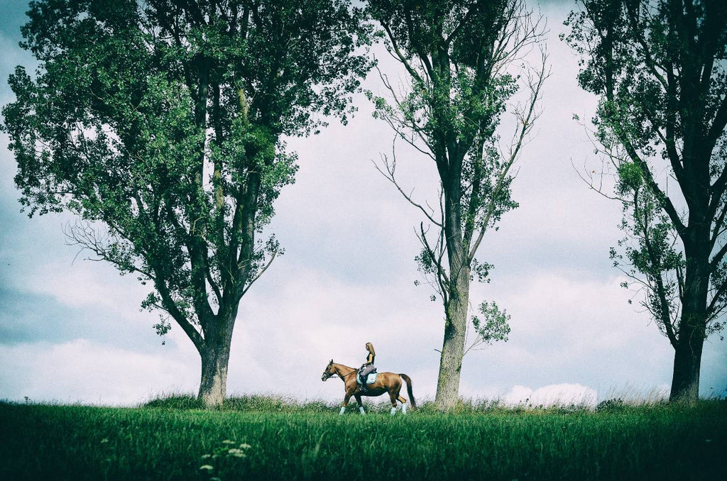 Gifts for horse lovers: Rider with saddle pad on horse