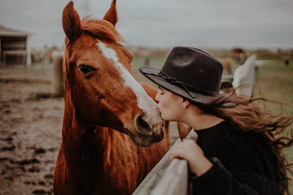 Horse blanket: Woman kissing her beloved horse