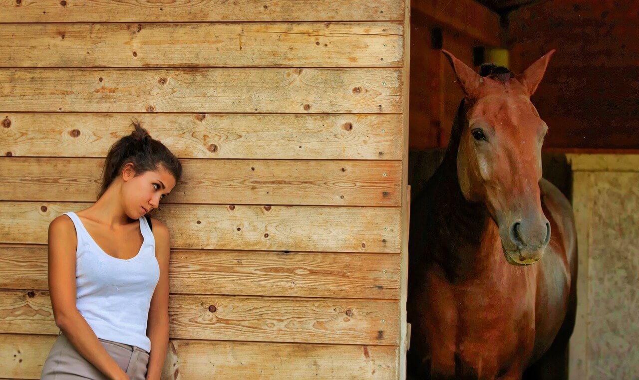 Girl and a horse