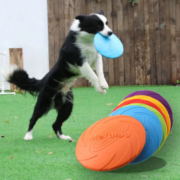 dog products dropshipping Products