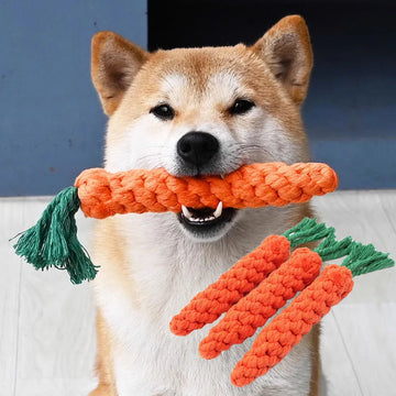 Carrots dropshipping Products