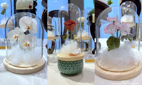 eat cake today-cake delivery-the cake show-cake trends 2020-sugar flower-bell jar sugar flower
