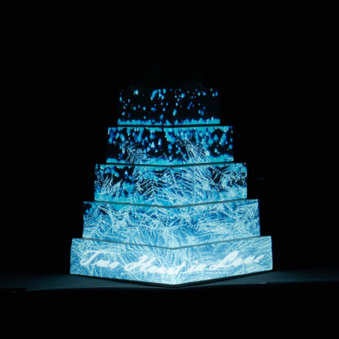 eat cake today-cake delivery-the cake show-cake trends 2020-projection mapping cake