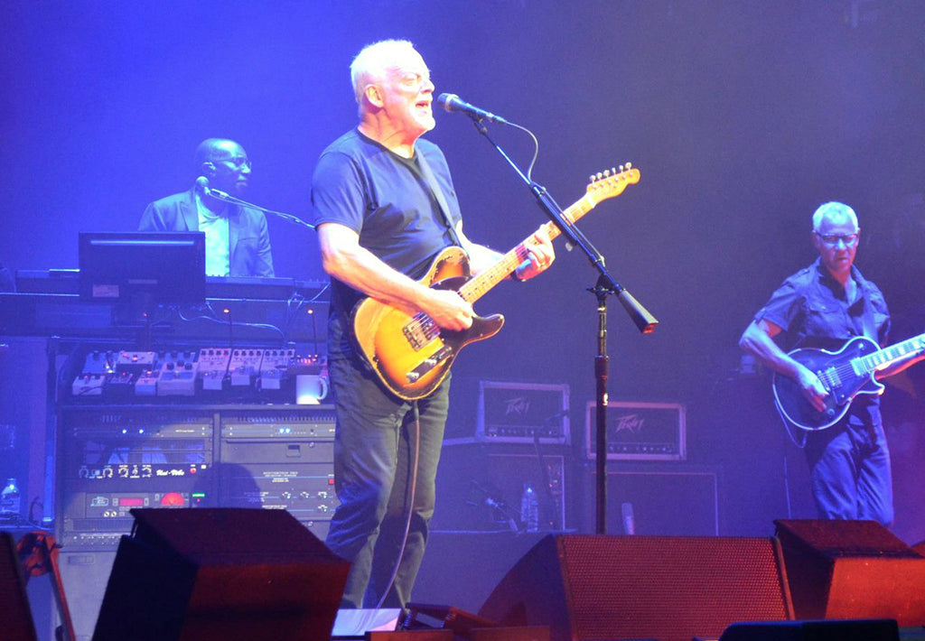 Photo courtesy of David Gilmour Official Facebook page