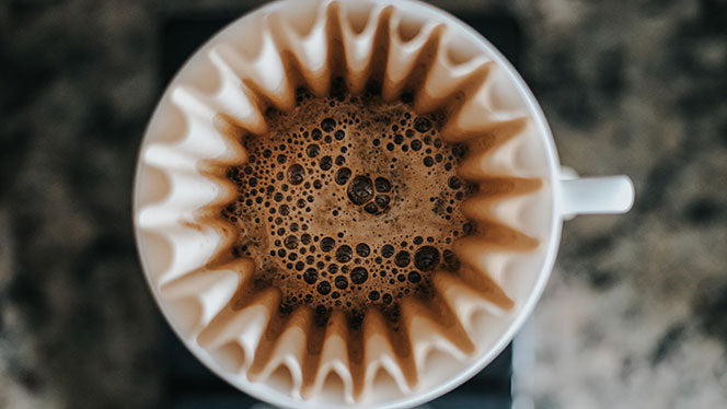 Out of Coffee Filters? Here are Some Things You Can Use Instead –  CartaCoffee
