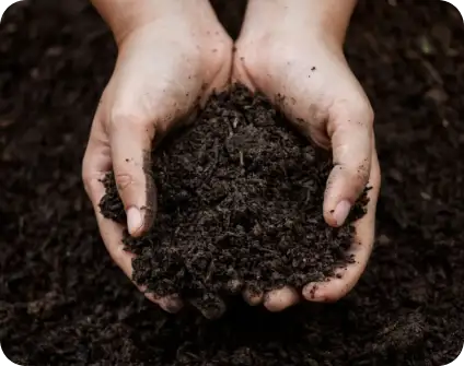 Soil Based