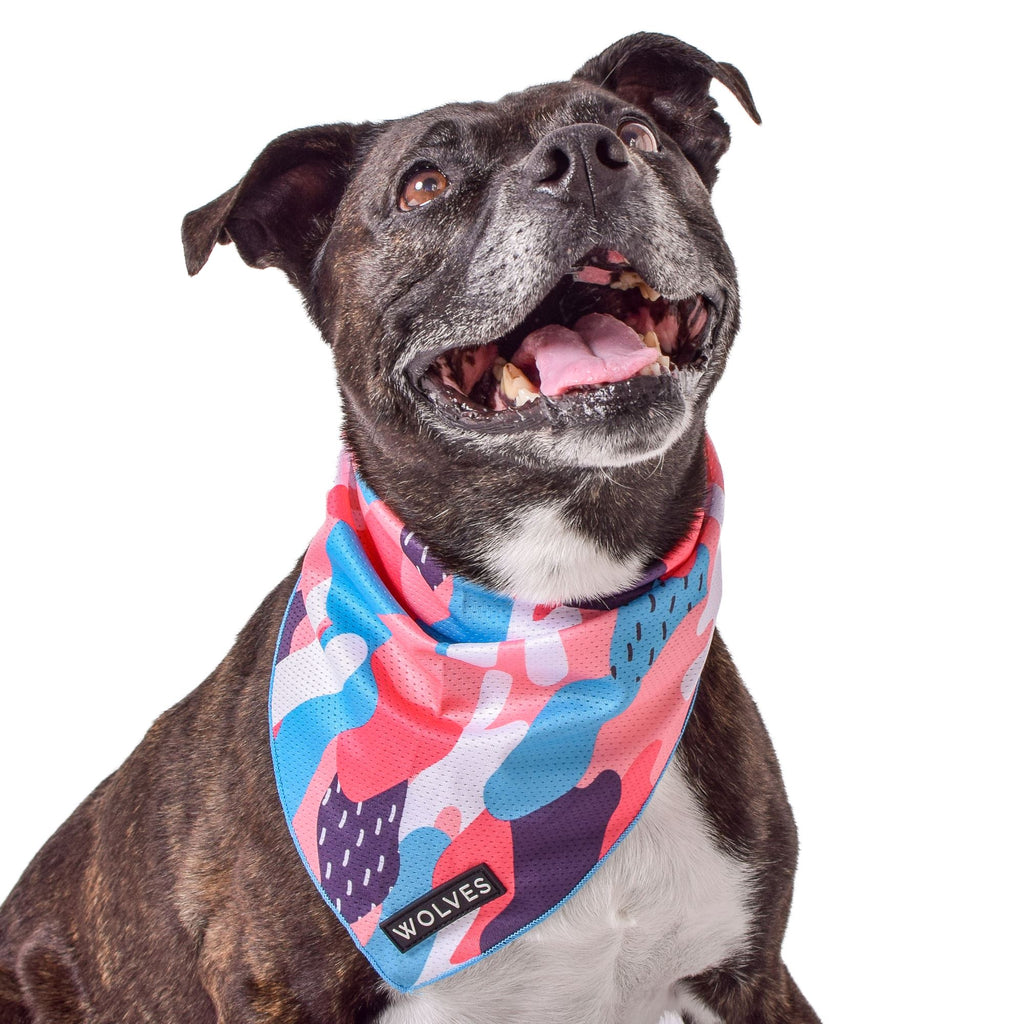 how to make a cooling bandana for dogs