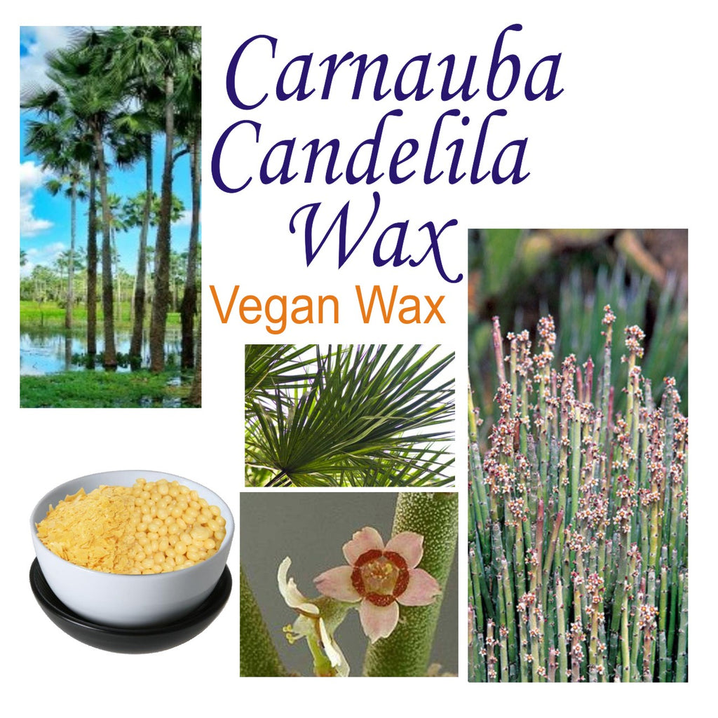 Candelilla Wax Vegan Renascent Bath And Body 6514