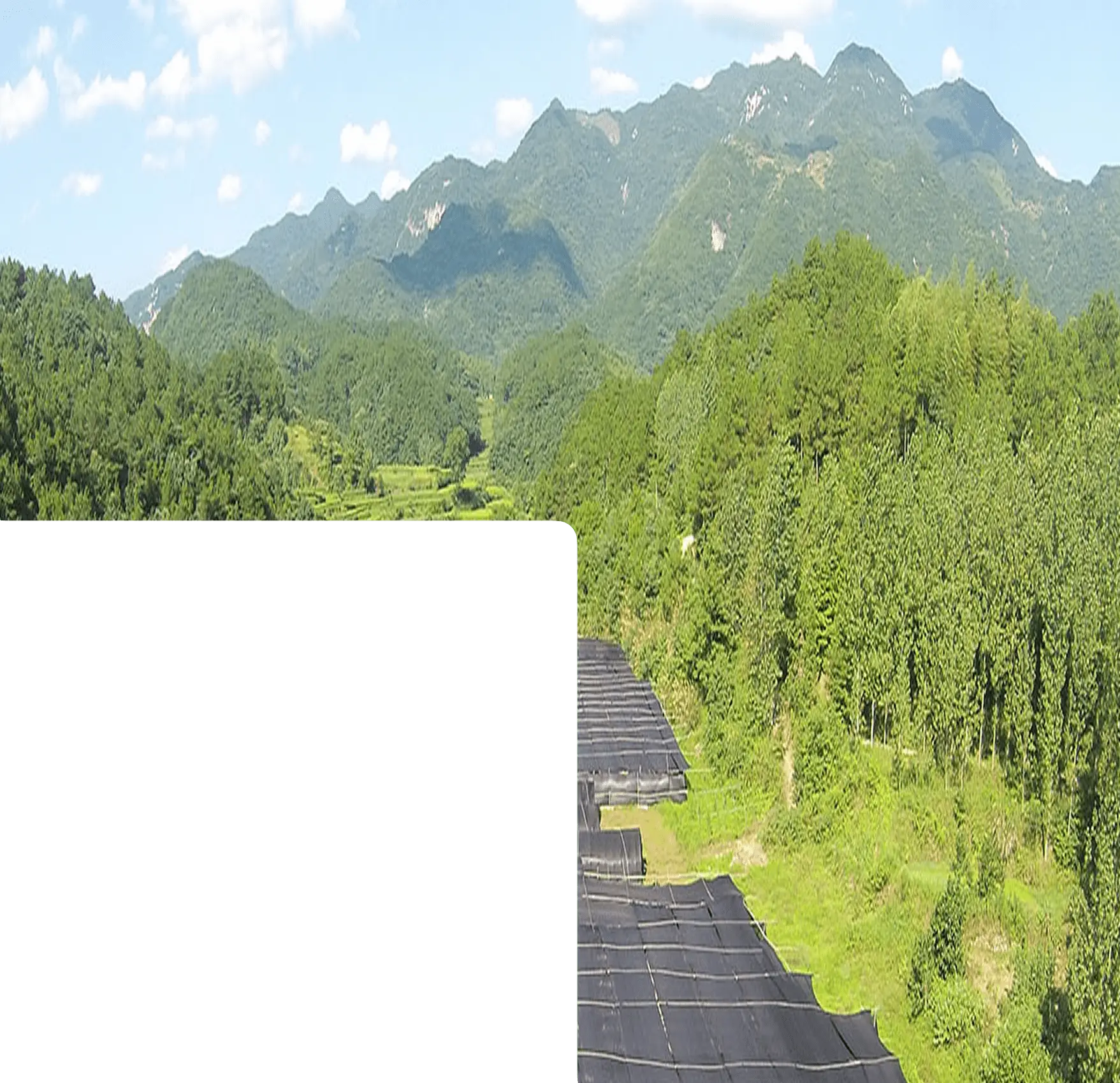 thai-funge.png__PID:cf6af02a-22c4-4606-bfd3-ef93039b51e1